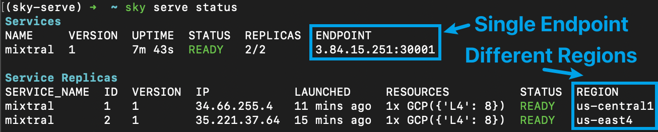 SkyServe Status